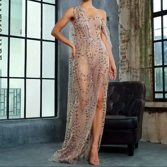 rose gold sheer dress